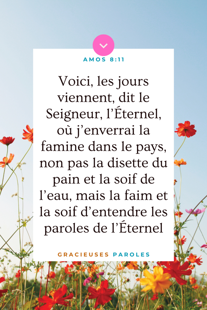 Il semble indiquer dans ce verset qu'il y aura un moment durant lequel les gens voudront entendre la parole de Dieu, malheureusement, elle ne sera pas disponible